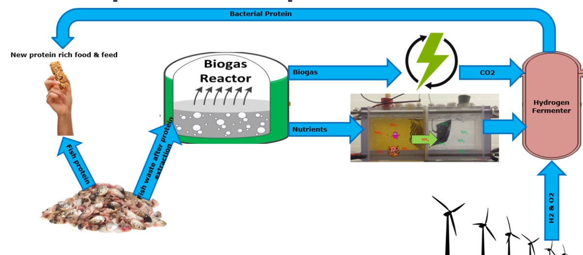 fermentation process visualisation